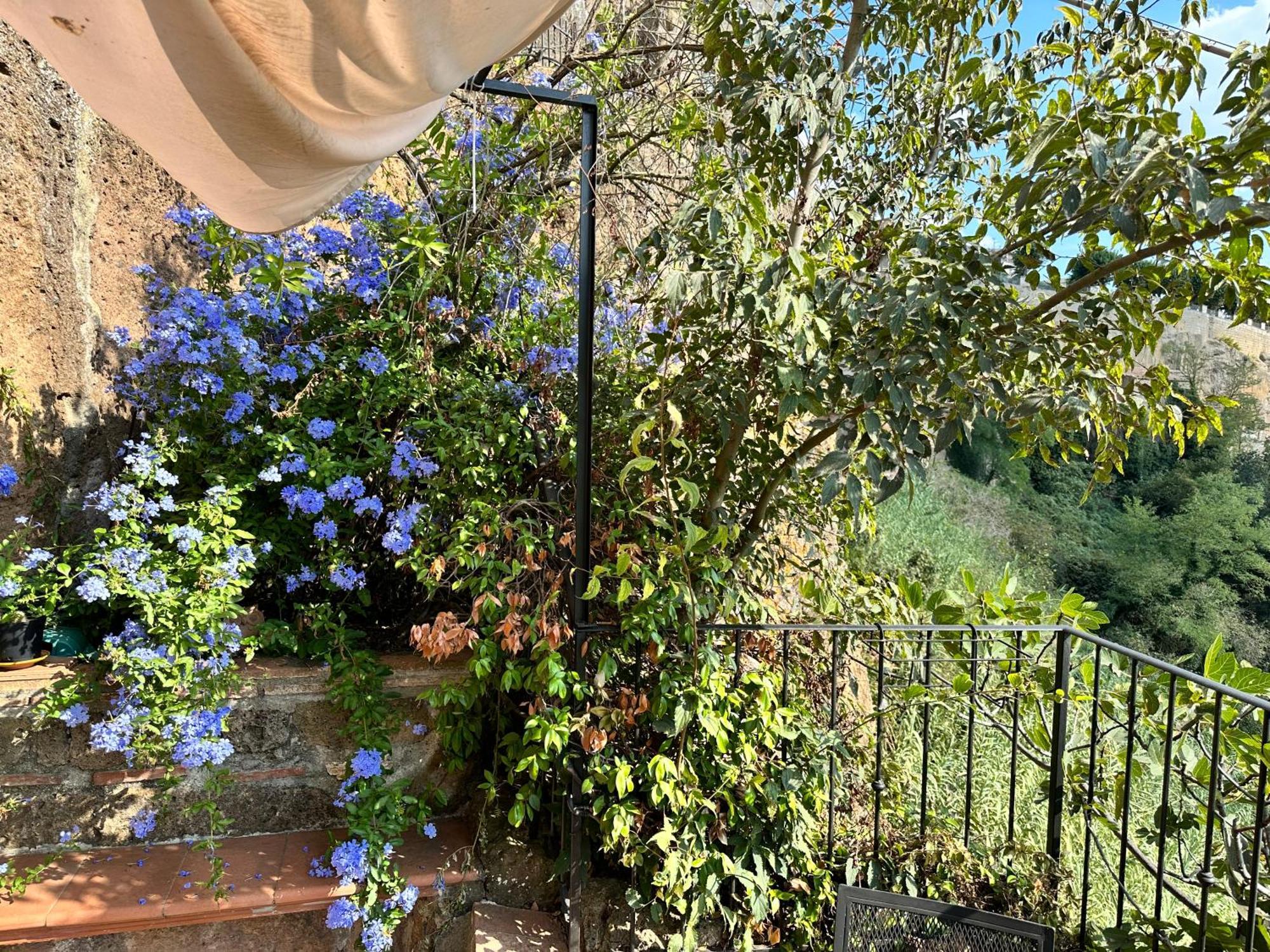 Terrazza Sul Tufo Pitigliano Exterior foto